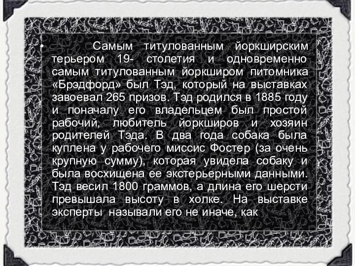 Самым титулованным йоркширским терьером 19- столетия и одновременно самым титулованным йоркширом