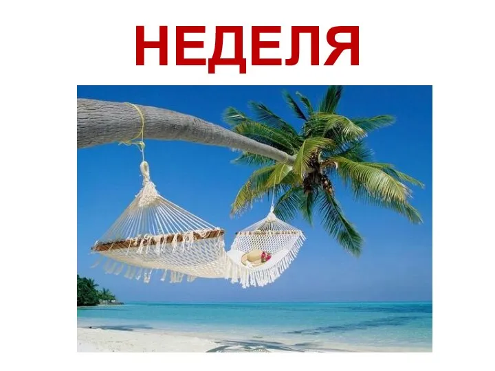 НЕДЕЛЯ