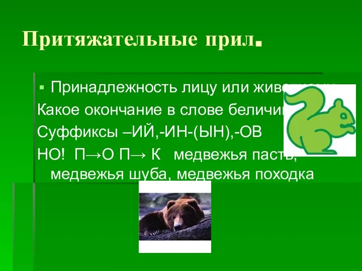 Притяжательные прил. Принадлежность лицу или животному Какое окончание в слове беличий.?