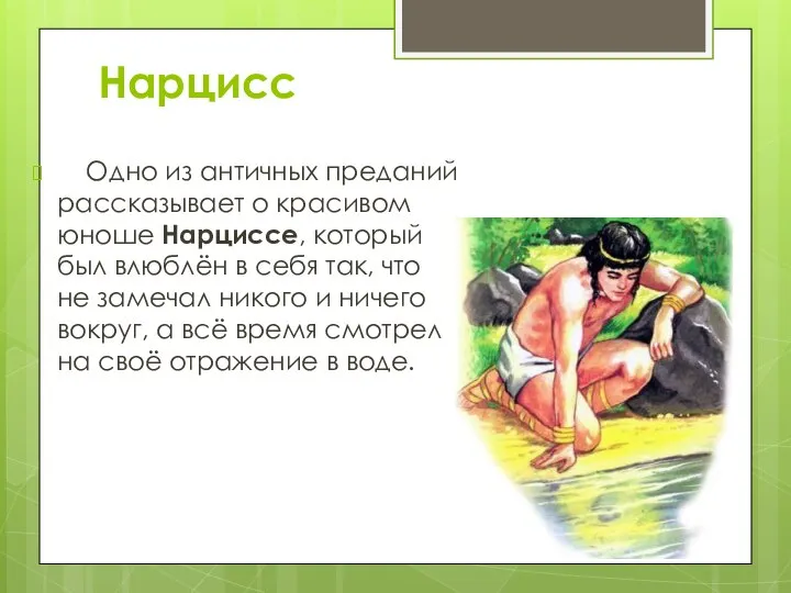 Нарцисс Одно из античных преданий рассказывает о красивом юноше Нарциссе, который