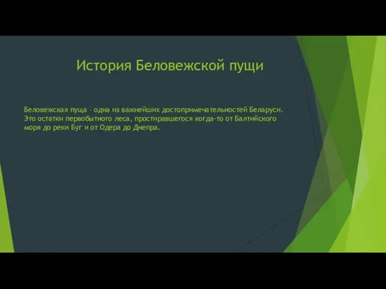 История Беловежской пущи Беловежская пуща – одна из важнейших достопримечательностей Беларуси.