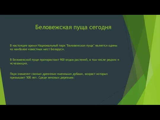 Беловежская пуща сегодня В настоящее время Национальный парк "Беловежская пуща" является