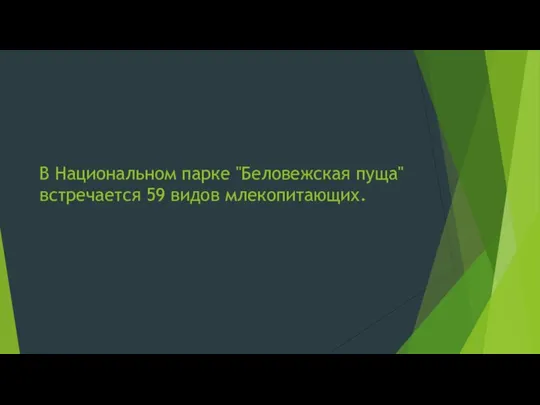 В Национальном парке "Беловежская пуща" встречается 59 видов млекопитающих.