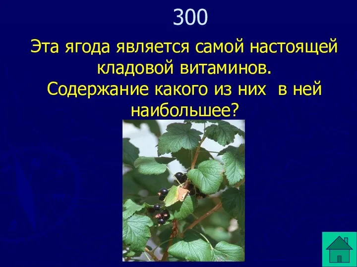 Эта ягода является самой настоящей кладовой витаминов. Содержание какого из них в ней наибольшее? 300