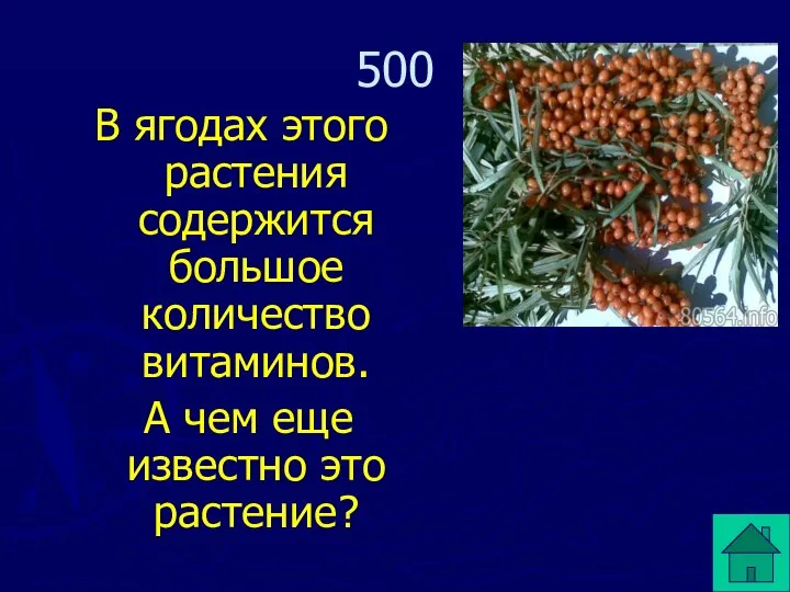 В ягодах этого растения содержится большое количество витаминов. А чем еще известно это растение? 500