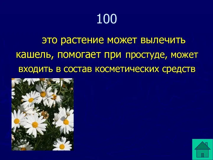 100 это растение может вылечить кашель, помогает при простуде, может входить в состав косметических средств