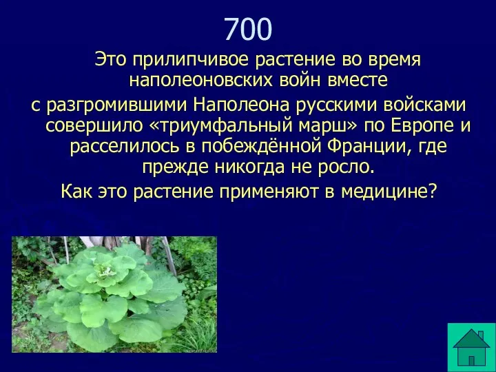 Это прилипчивое растение во время наполеоновских войн вместе с разгромившими Наполеона