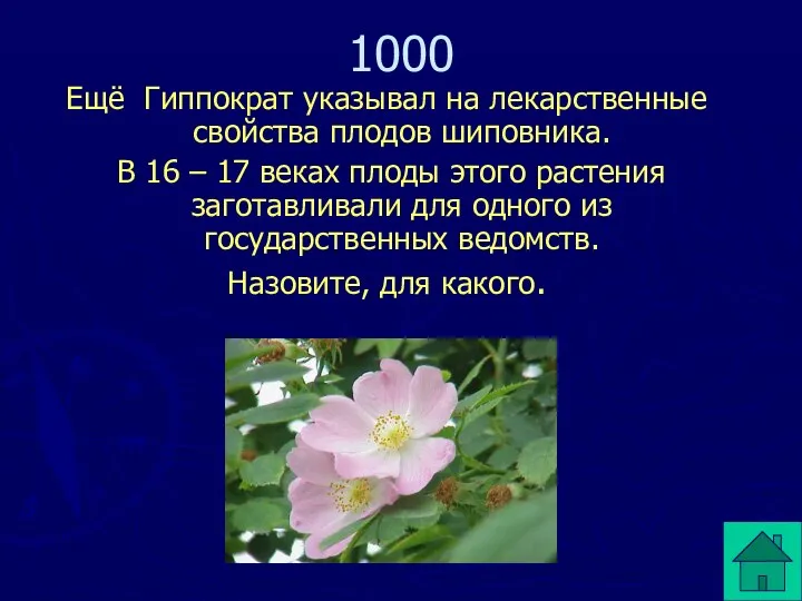 Ещё Гиппократ указывал на лекарственные свойства плодов шиповника. В 16 –