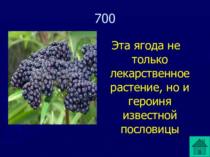 Эта ягода не только лекарственное растение, но и героиня известной пословицы 700