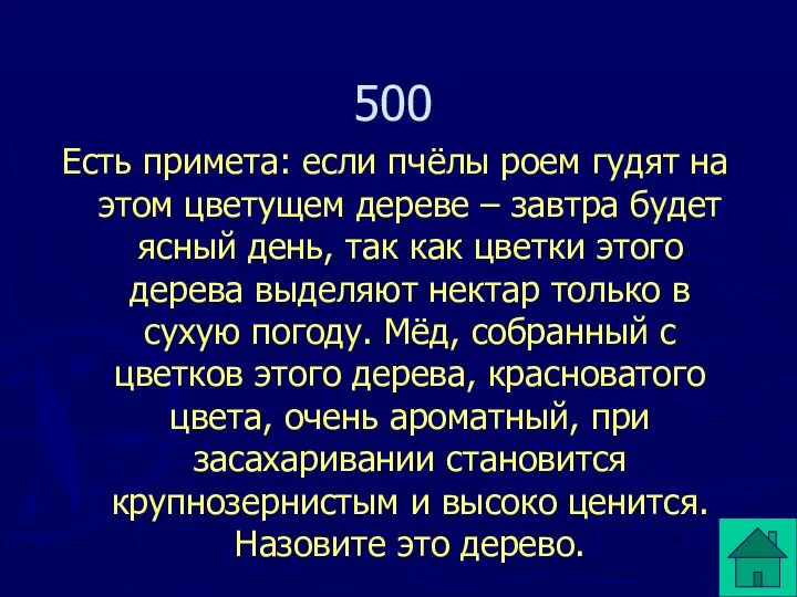 Есть примета: если пчёлы роем гудят на этом цветущем дереве –