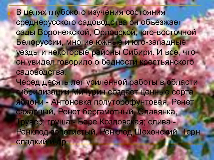 В целях глубокого изучения состояния среднерусского садоводства он объезжает сады Воронежской,