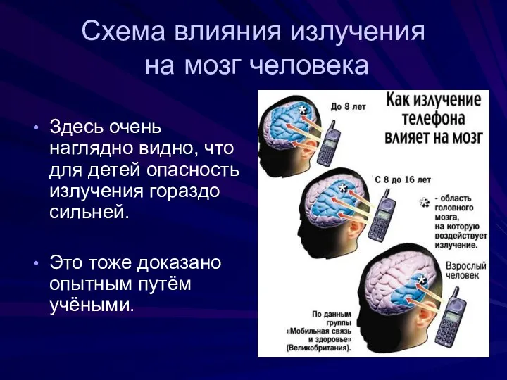 Схема влияния излучения на мозг человека Здесь очень наглядно видно, что