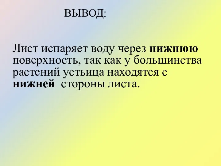 ВЫВОД: Лист испаряет воду через нижнюю поверхность, так как у большинства