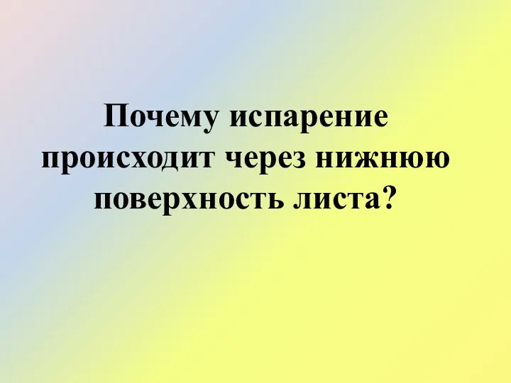 Почему испарение происходит через нижнюю поверхность листа?