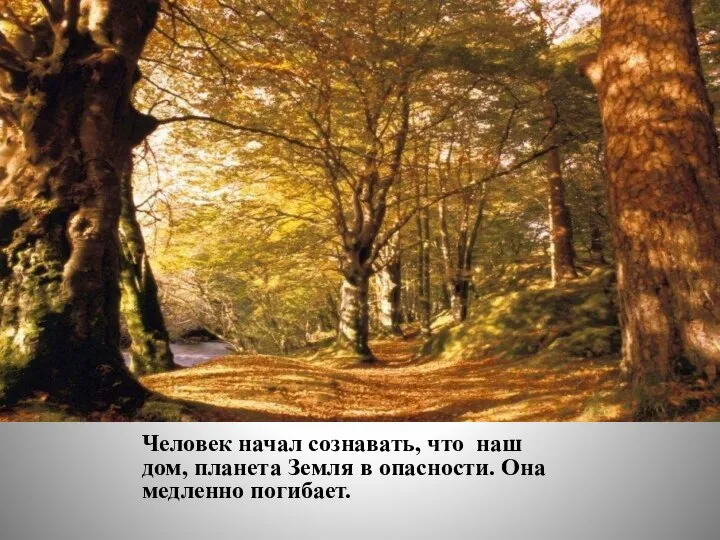 Человек начал сознавать, что наш дом, планета Земля в опасности. Она медленно погибает.