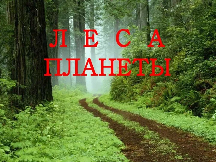 Л Е С А ПЛАНЕТЫ