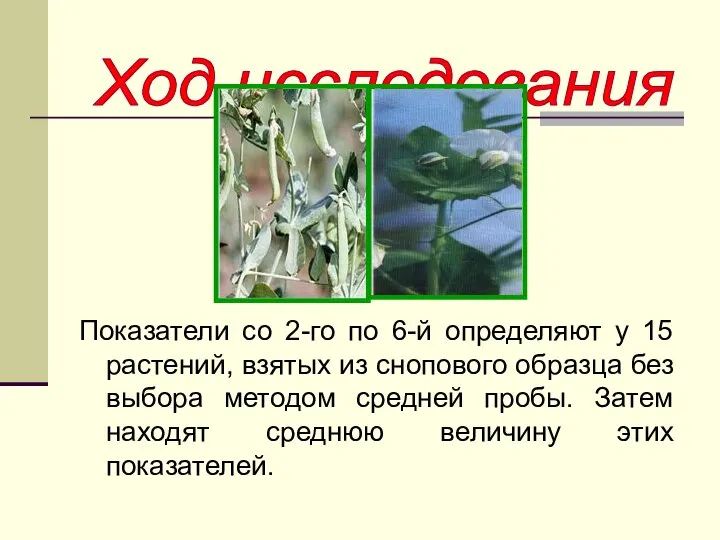 Показатели со 2-го по 6-й определяют у 15 растений, взятых из