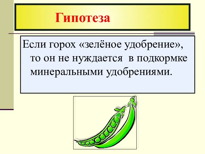 Если горох «зелёное удобрение», то он не нуждается в подкормке минеральными удобрениями. Гипотеза