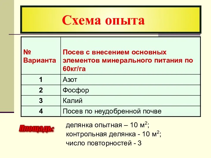 Схема опыта Площадь: делянка опытная – 10 м2; контрольная делянка -