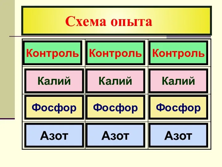 Схема опыта Контроль Фосфор Калий Азот Азот Азот Фосфор Фосфор Калий Калий Контроль Контроль