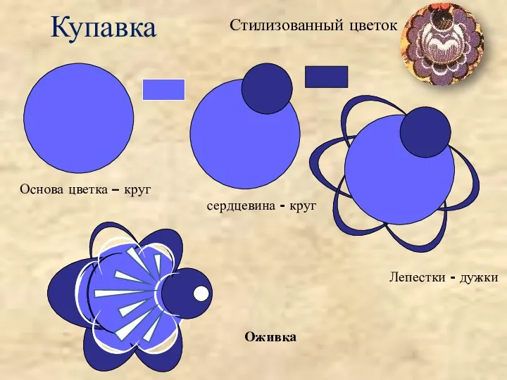 Купавка Стилизованный цветок Основа цветка – круг сердцевина - круг Лепестки - дужки Оживка