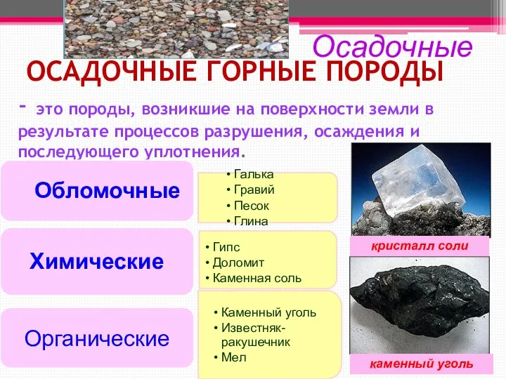 Осадочные кристалл соли каменный уголь ОСАДОЧНЫЕ ГОРНЫЕ ПОРОДЫ - это породы,