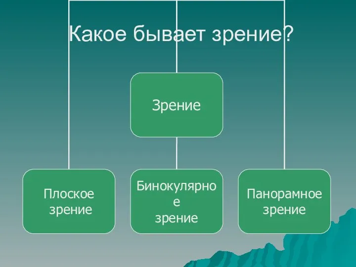 Какое бывает зрение?