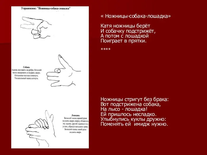 « Ножницы-собака-лошадка» Катя ножницы берёт И собачку подстрижёт, А потом с