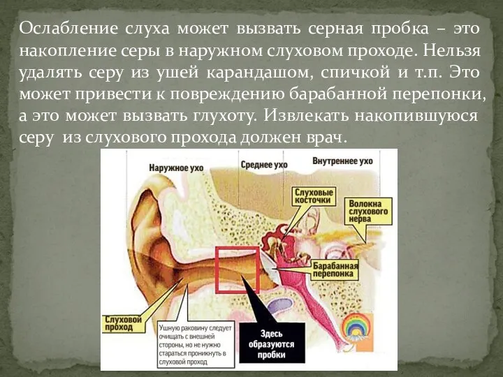 Ослабление слуха может вызвать серная пробка – это накопление серы в