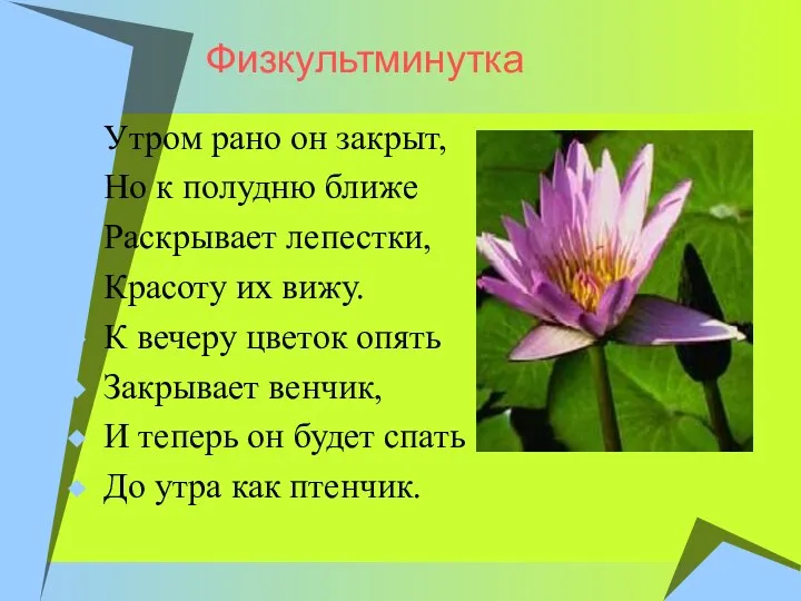 Физкультминутка Утром рано он закрыт, Но к полудню ближе Раскрывает лепестки,