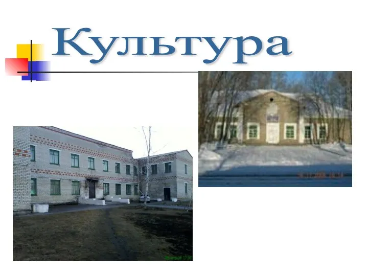 Культура