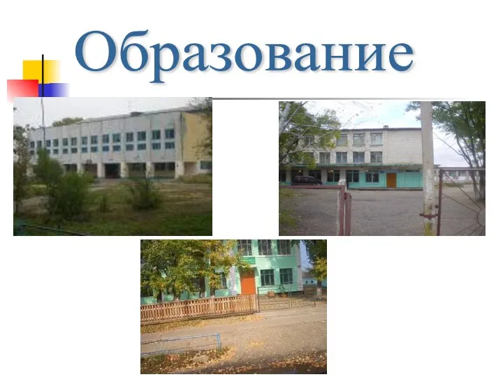 Образование