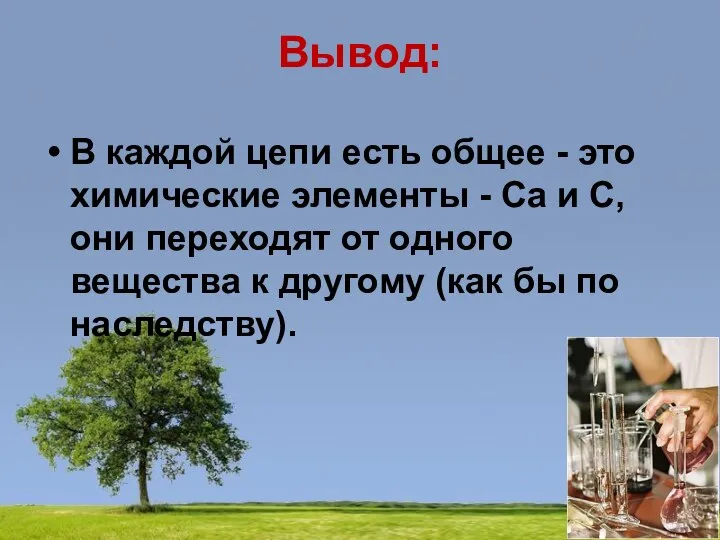 Вывод: В каждой цепи есть общее - это химические элементы -