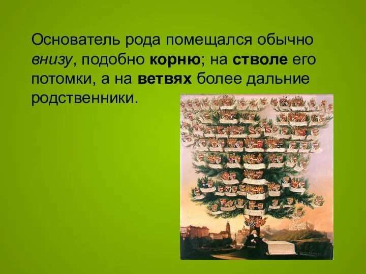 Основатель рода помещался обычно внизу, подобно корню; на стволе его потомки,