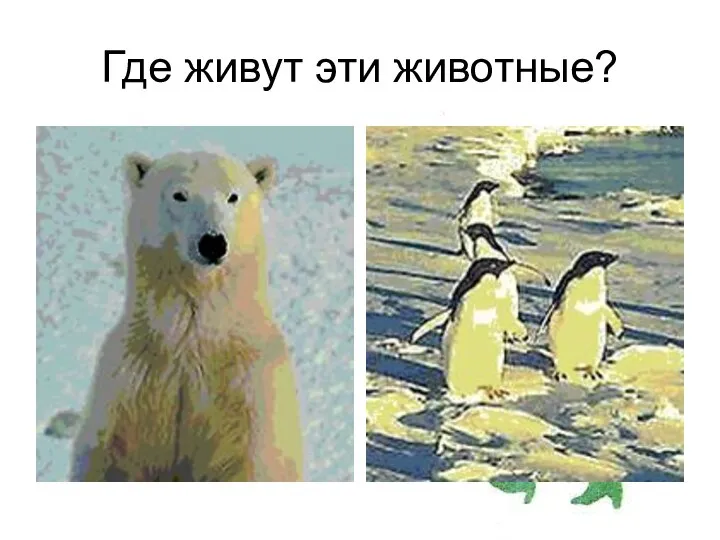 Где живут эти животные?