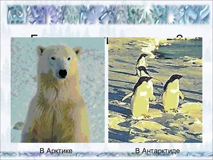 Где живут эти животные? В Арктике В Антарктиде