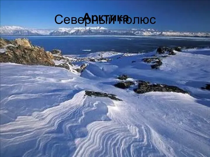 Северный полюс Арктика