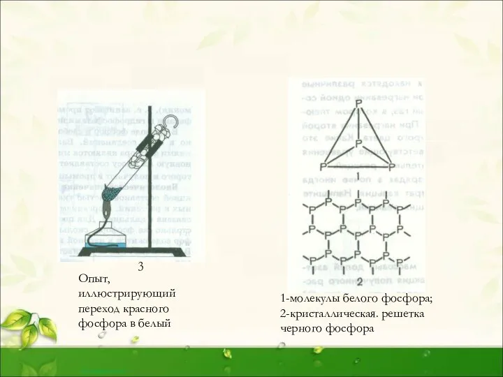 Опыт, иллюстрирующий переход красного фосфора в белый 1-молекулы белого фосфора; 2-кристаллическая. решетка черного фосфора 3