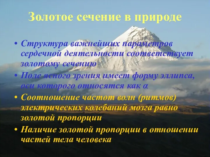 Золотое сечение в природе Структура важнейших параметров сердечной деятельности соответствует золотому