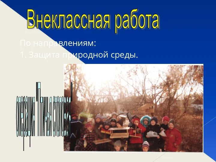 По направлениям: 1. Защита природной среды. Внеклассная работа операция "Птичья столовая"