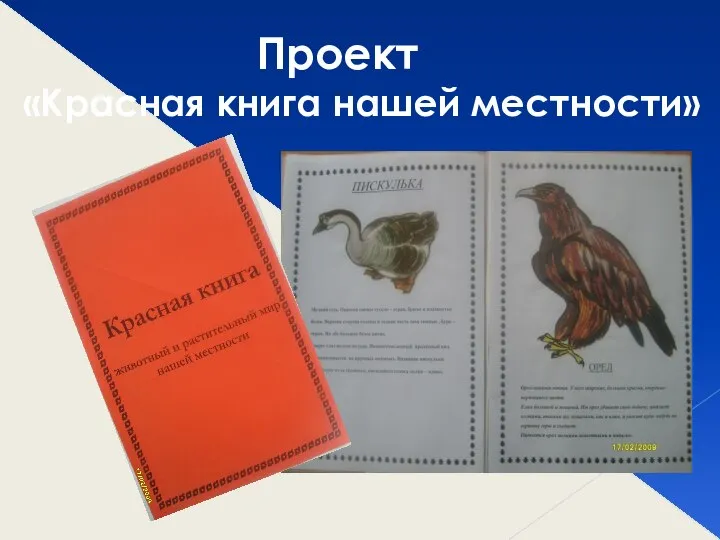 Проект «Красная книга нашей местности»