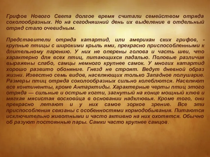 Грифов Нового Света долгое время считали семейством отряда соколообразных. Но на