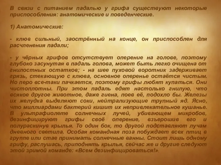 В связи с питанием падалью у грифа существуют некоторые приспособления: анатомические