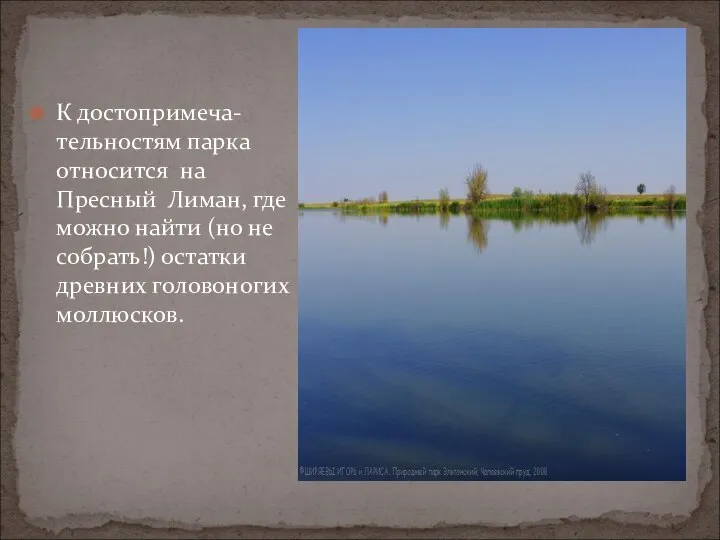 К достопримеча-тельностям парка относится на Пресный Лиман, где можно найти (но