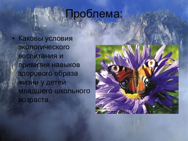 Проблема: Каковы условия экологического воспитания и привития навыков здорового образа жизни у детей младшего школьного возраста.