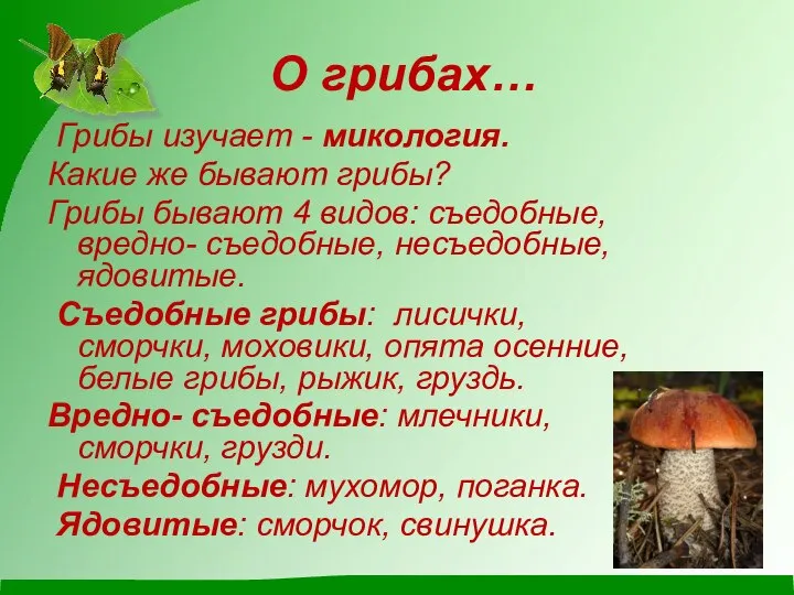 О грибах… Грибы изучает - микология. Какие же бывают грибы? Грибы