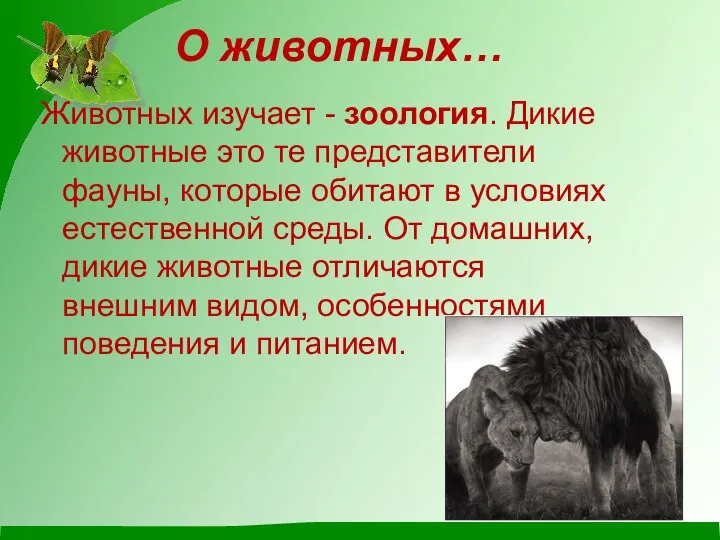 О животных… Животных изучает - зоология. Дикие животные это те представители