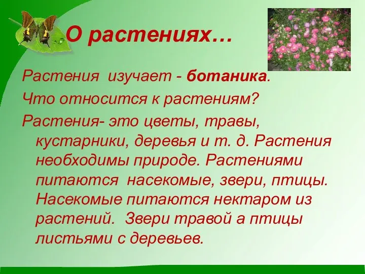 О растениях… Растения изучает - ботаника. Что относится к растениям? Растения-