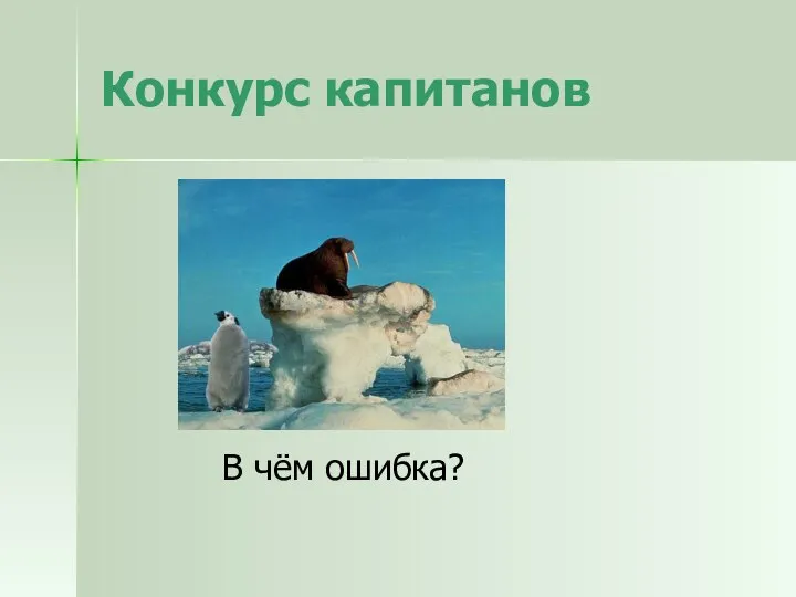 Конкурс капитанов В чём ошибка?