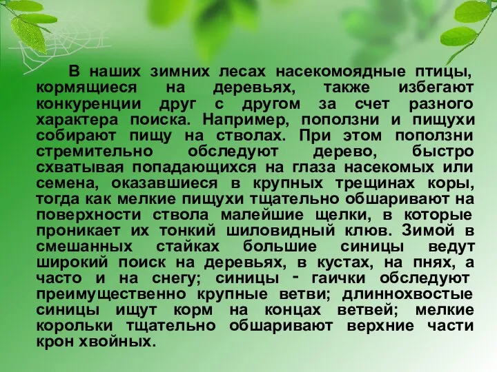 В наших зимних лесах насекомоядные птицы, кормящиеся на деревьях, также избегают